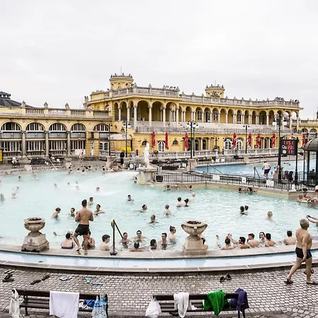 White & Gold * Budapest